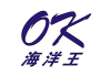 海洋王