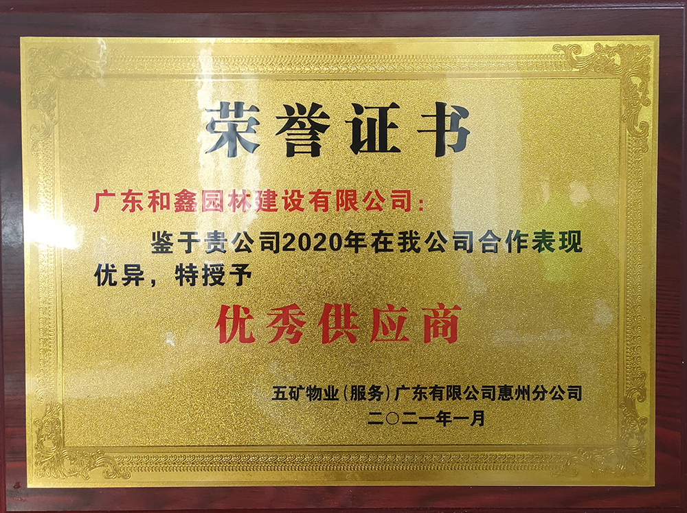 2020年五矿哈施塔特优秀供应商(图1)