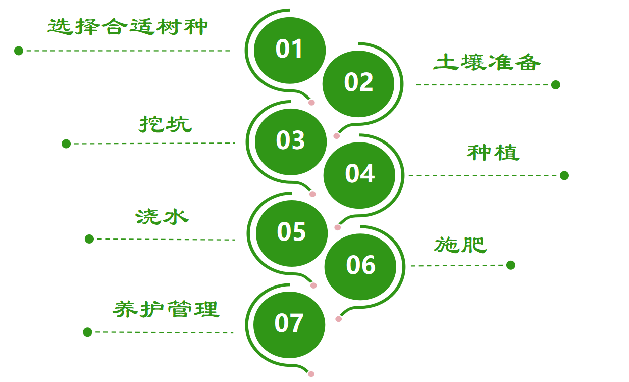 植树管家--今年的植树节，我想“栽”在你手里(图1)