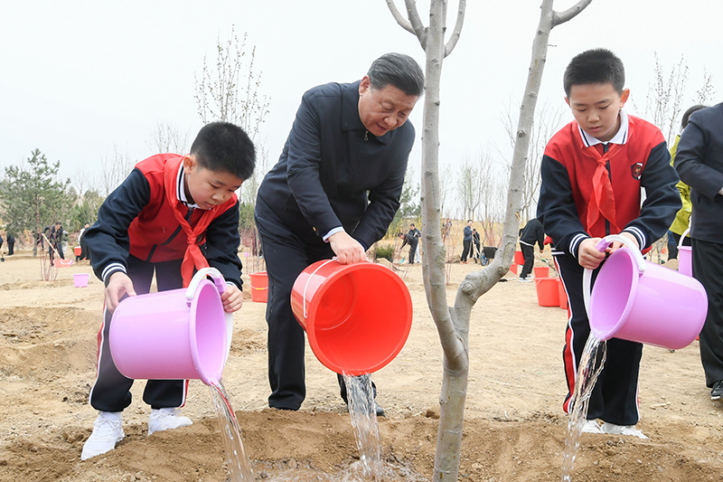 植树管家--今年的植树节，我想“栽”在你手里(图9)