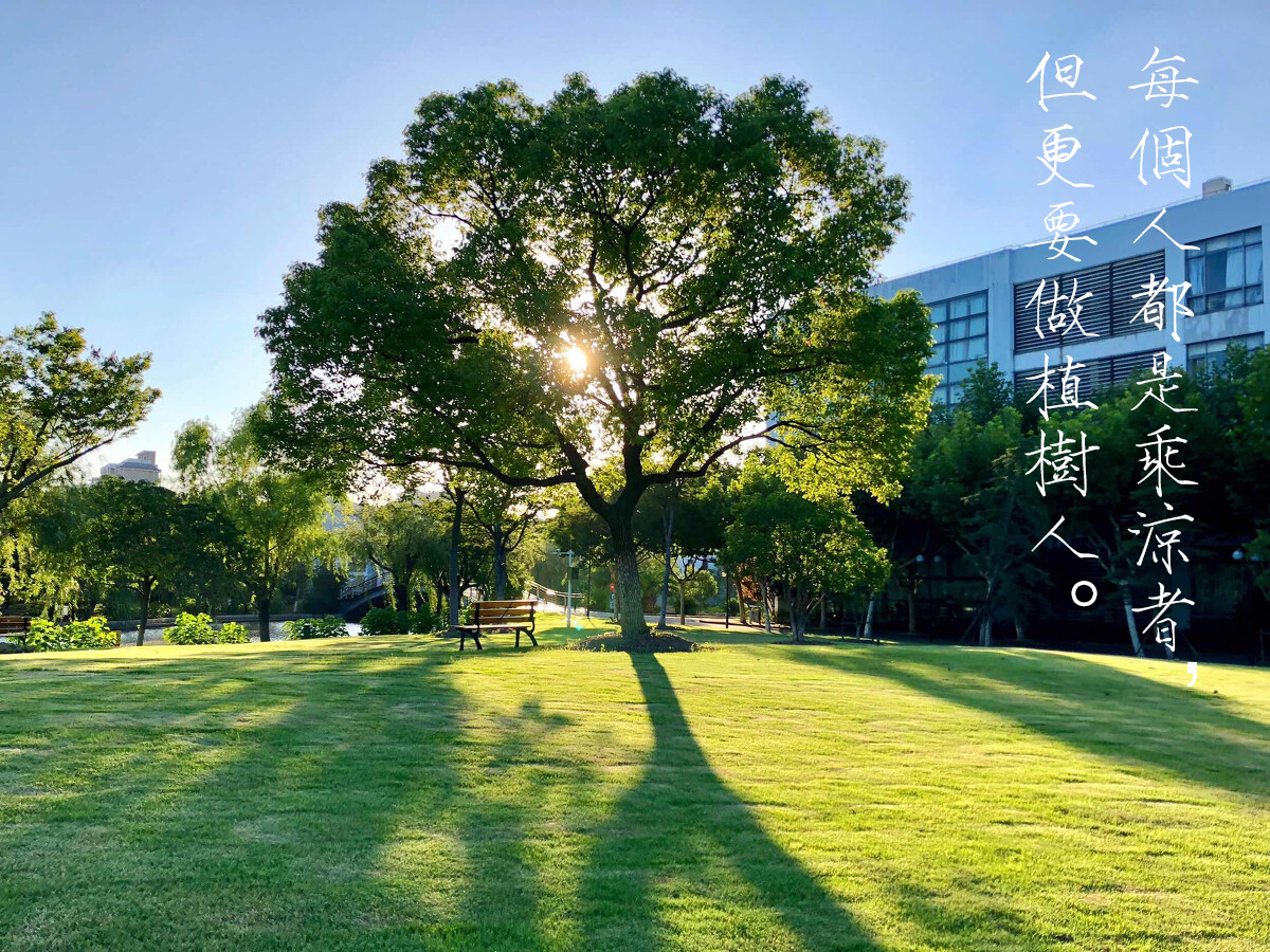 植树管家--今年的植树节，我想“栽”在你手里(图11)